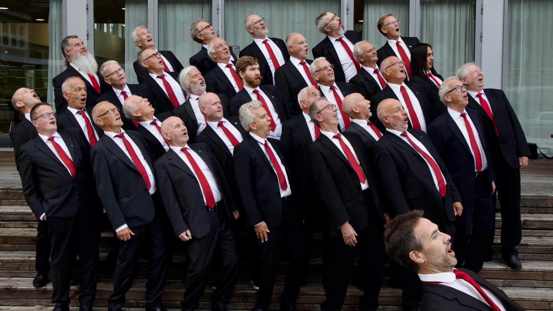 headerbilde 4