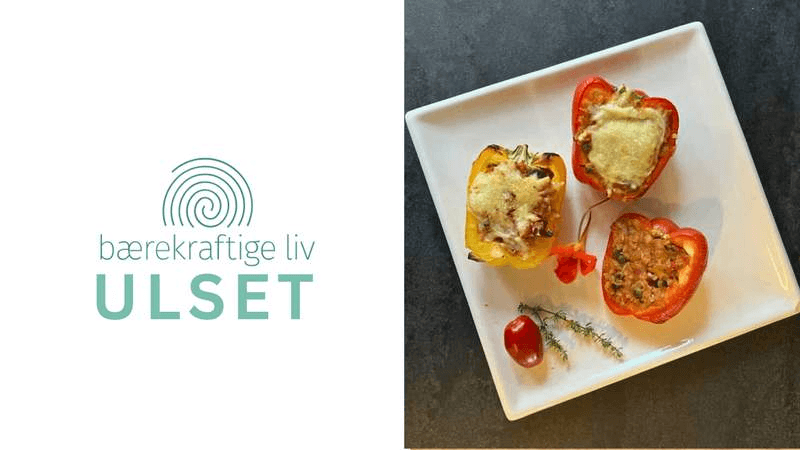 Lær å lage vegetarmat!